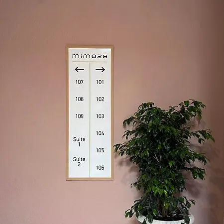 Mimoza أولدينيس