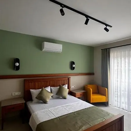 Mimoza 5*
