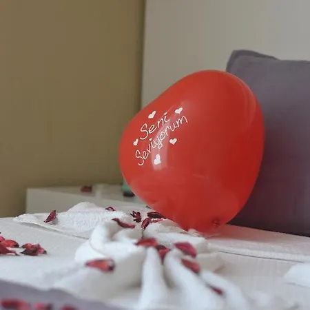 Mimoza أولدينيس