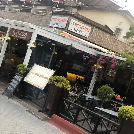 酒店 米莫扎酒店